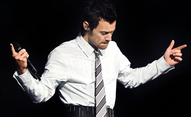 Фанаты Гарри Стайлза встревожены после инцидента на концерте в Лондоне