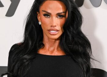У Кэти Прайс украли двух кошек прямо перед отъездом в Дубай