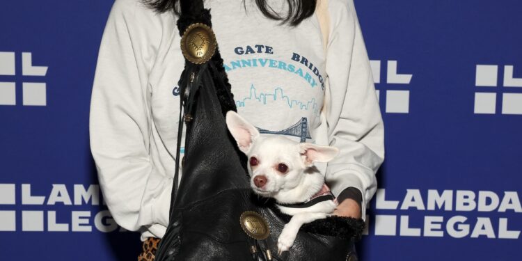 «Из шкафа прямо в гроб»: Маргарет Чо жёстко прошлась по скончавшемуся сенатору Линдси Грэму
