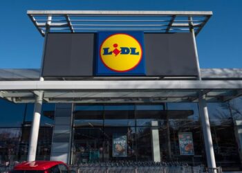 Lidl выпускает платье за £7 — копию модели Next за £156