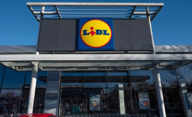 Lidl выпускает платье за £7 — копию модели Next за £156