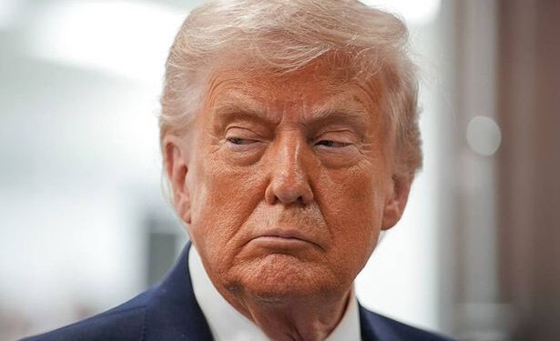 Трамп высмеял свадьбу Трэвиса Келси и Тейлор Свифт: что случилось на самом деле