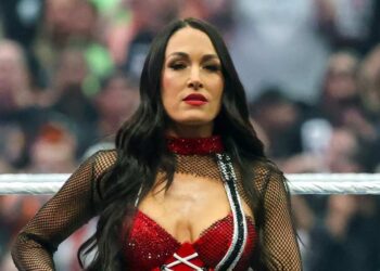 Бри Белла сломала лопатку на SummerSlam и поблагодарила фанатов
