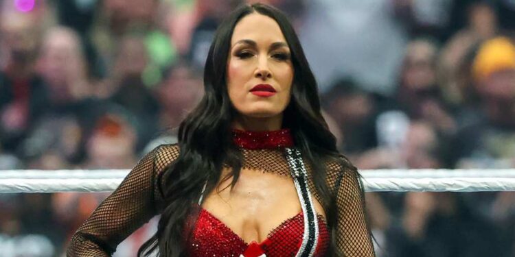 Бри Белла сломала лопатку на SummerSlam и поблагодарила фанатов