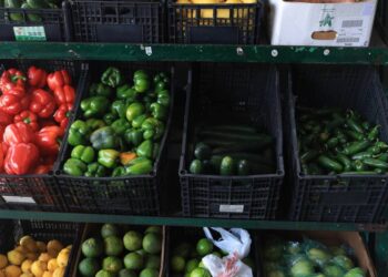 How to Shop at a Farmers Market Like a Pro and Actually Use What You Buy