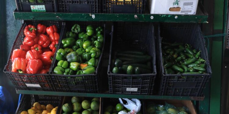 How to Shop at a Farmers Market Like a Pro and Actually Use What You Buy
