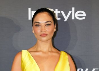 Шанина Шейк объявила о беременности вторым ребенком